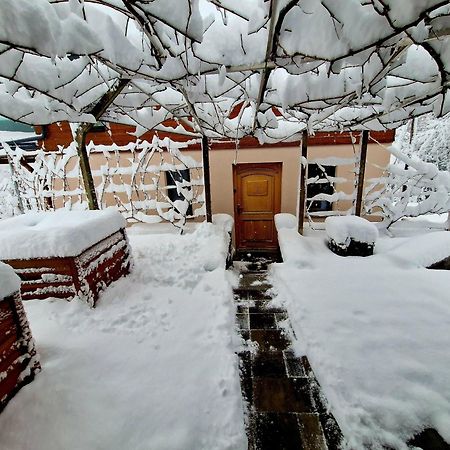 Vineyard Cottage Matej Trebnje 外观 照片