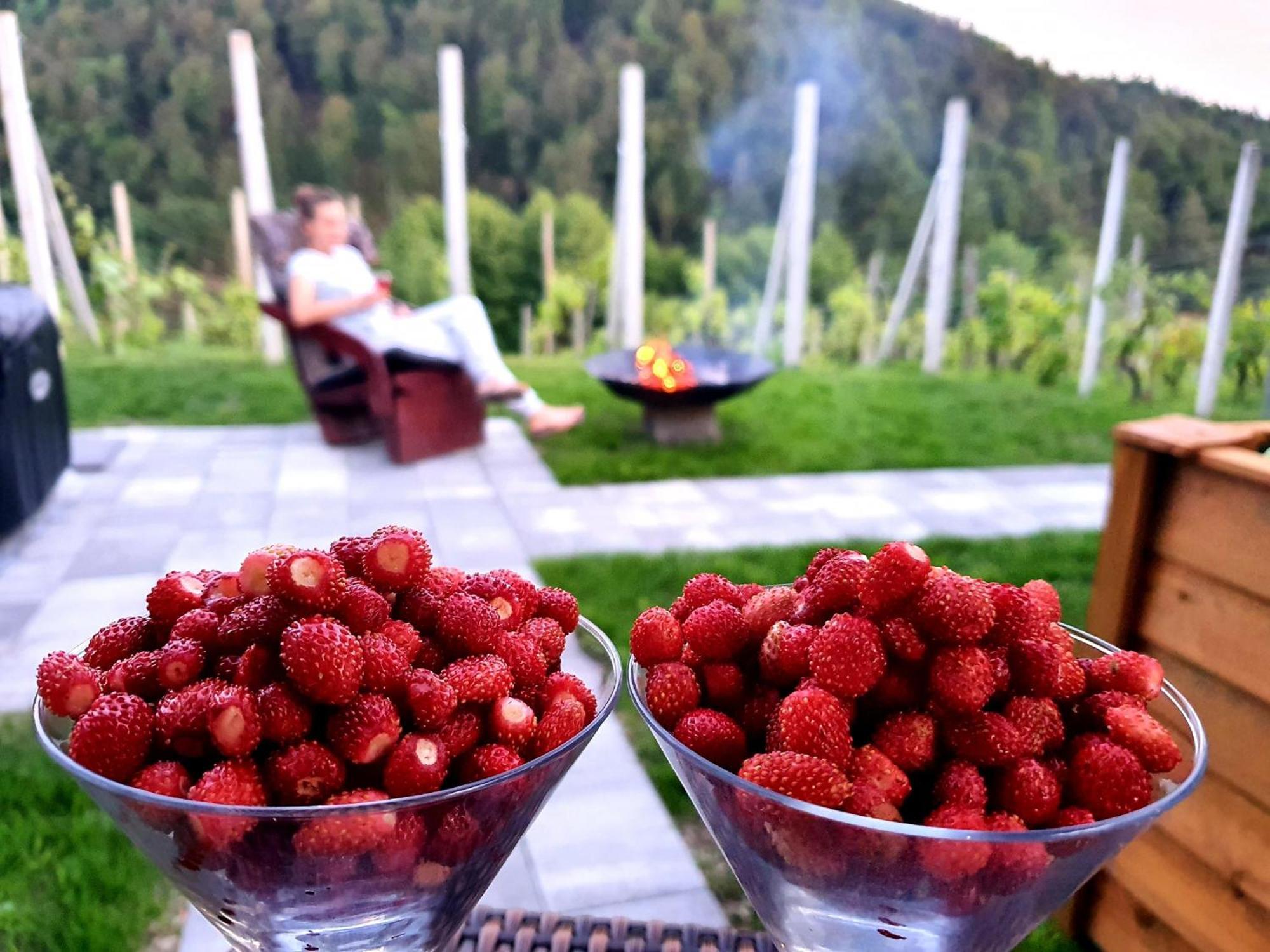 Vineyard Cottage Matej Trebnje 外观 照片