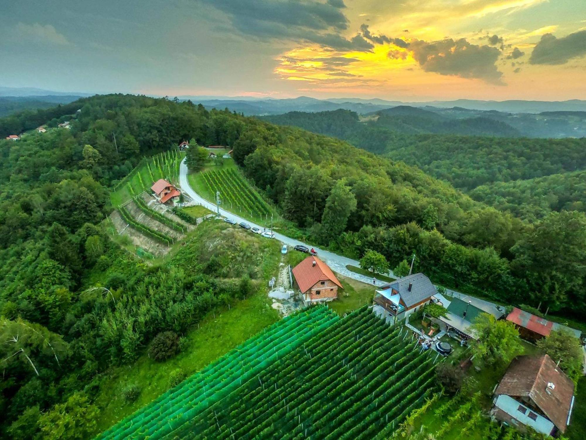 Vineyard Cottage Matej Trebnje 外观 照片