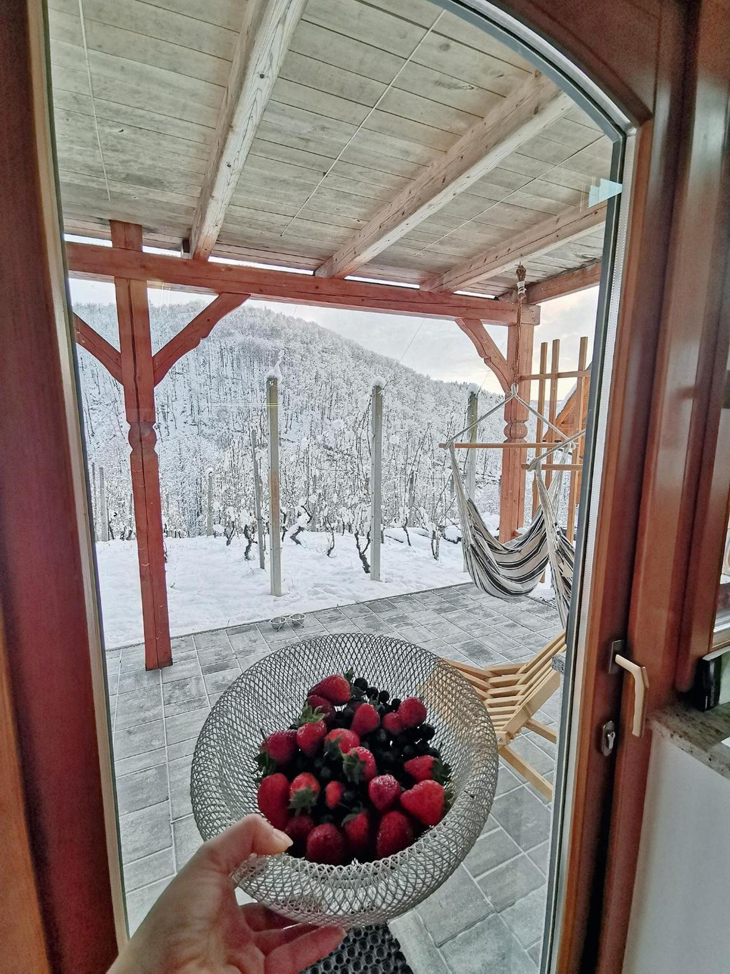 Vineyard Cottage Matej Trebnje 外观 照片